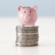 Illustration depicting a piggy bank on top of pound sterling coins, representing the concept of pension and allowance charges.